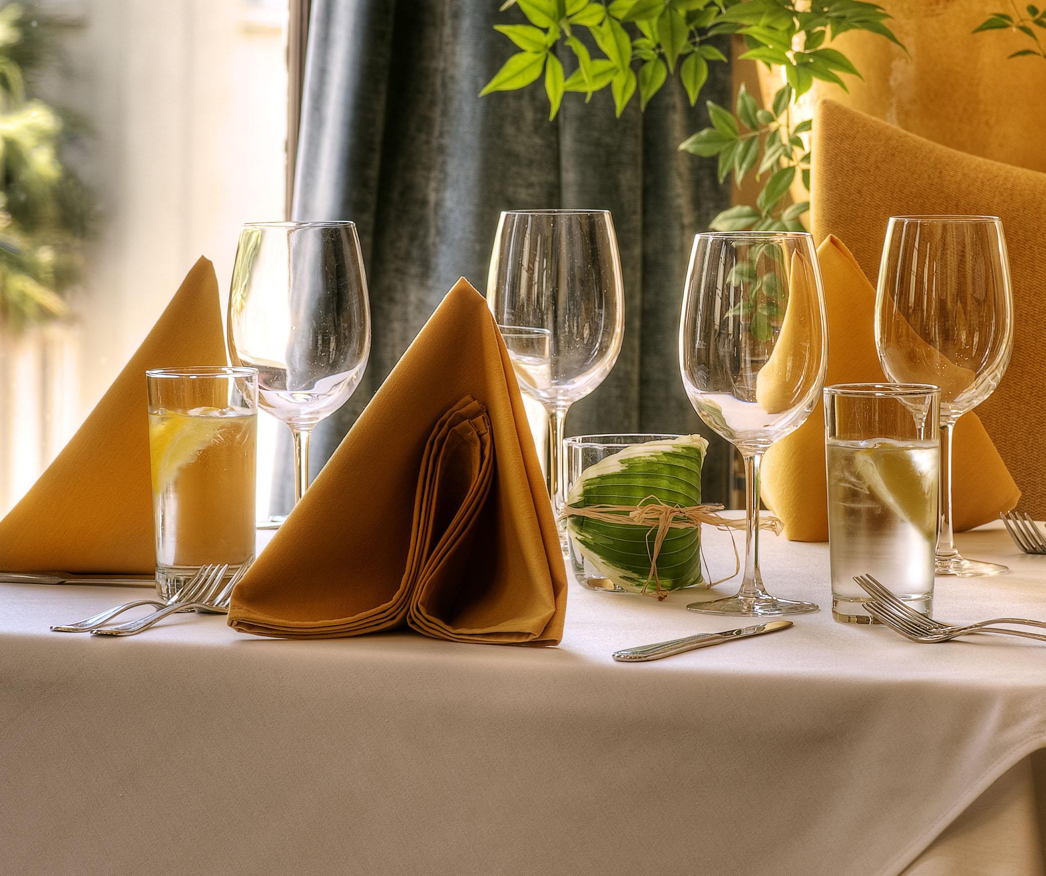 Fine Dining Dinner Napkins
