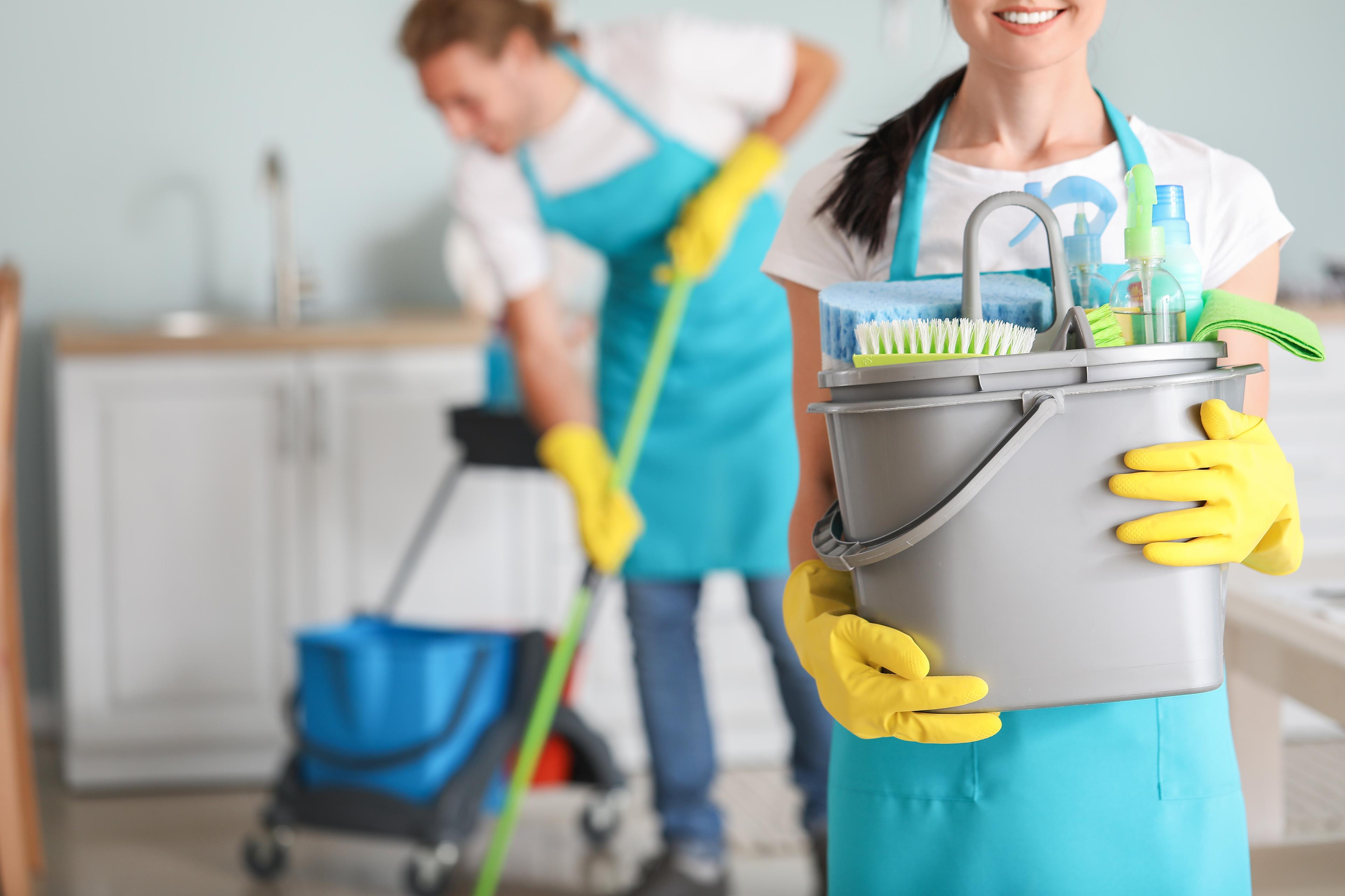 People carrying and using chemical cleaning supplies