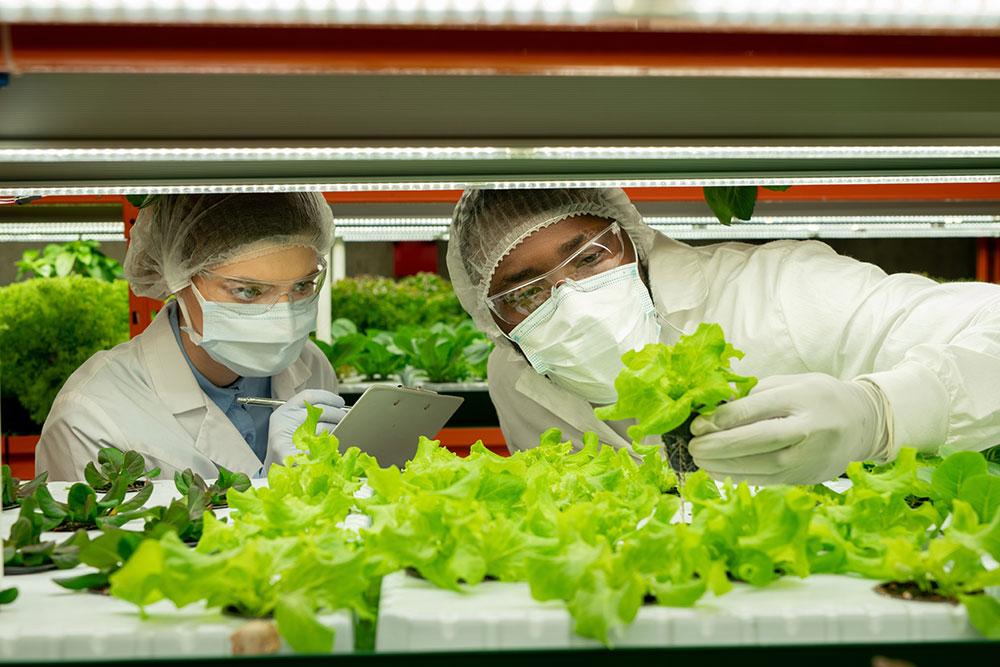 commercial-food-safety